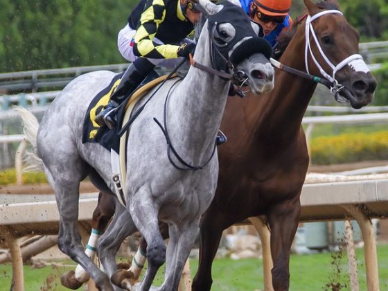 Kiralık Bahis Sayfaları